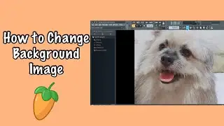 How to Change Fl Studio Background Tutorial for Beginners