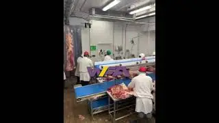 WFA Cattle Slaughterhouse Abattoir Machines Deboning Line Conveyor Of Butcher Equipment Meat