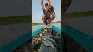 Traditional Boat Fishing in Village Life |✅ #fish #fishing #amazing #fishingvideo #boat