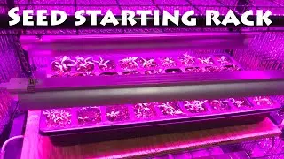 DIY Inexpensive Seed Starting Rack
