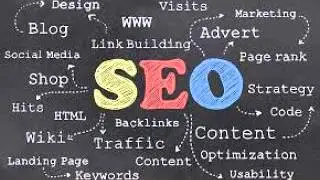 professional seo service