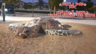 Peaceful moments | Saadiyat Island Turtle Park  | 8 turtles fun slides | SeeruFilArdhi | #TurtlePark
