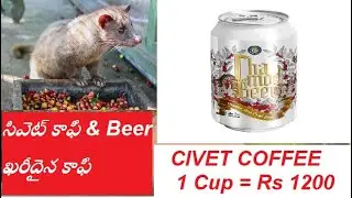 Very costly coffee - Civet Coffee