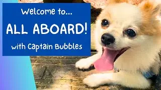 ALL ABOARD! with Captain Bubbles Trailer