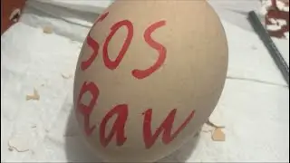 Jawed Gamer đang ph&aacute;t trực tiếp! Raw Egg Peeling