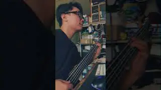 WTD - Gathered Flames (Bass Cover)
