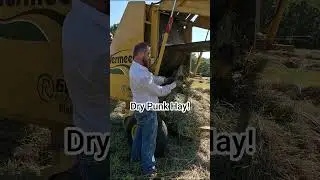 Dry Punk Hay!