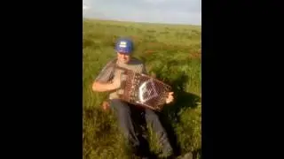 Сторожев Н.Н. - 