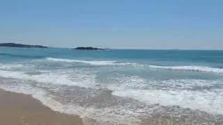 Park Beach South, Coffs Harbour, NSW - dogexplorer.com.au