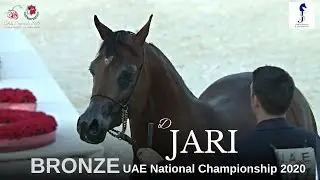 ⚡️D JARI⚡️ BRONZE at UAE National Championship 2020 Colts Championship