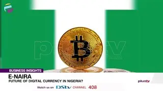 E-Naira: The Future Of Digital Currency In Nigeria? | BUSINESS INSIGHTS