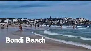 Bondi Beach, Sydney 🇦🇺｜海浪，海鸥与夏日沙滩 🌊