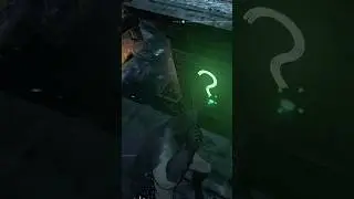 The hardest Riddler trophy in Batman Arkham City.