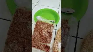 kue bipang khas bugis