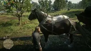 Red Dead Redemption 2 i5 4570 rx 580 e 16gb ram