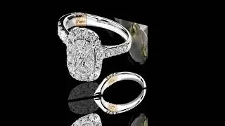 Pnina Tornai Trunk Show