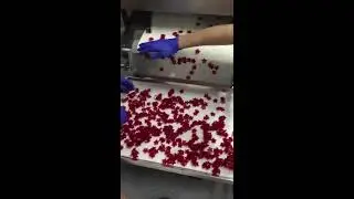 How are Hemp (CBD) Gummies made?