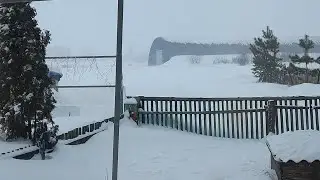 Метель метёт а я в сарае.