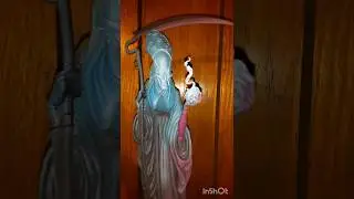 COURT OF THE DEAD REAPER STATUE BY SIDESHOW #SHORTS #SHORT #statue #reaper #sideshow #youtubeshorts