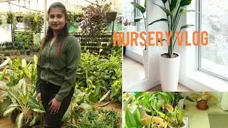 Nursery vlog #urban nursery #bhubaneswar nursery #nature #gardening