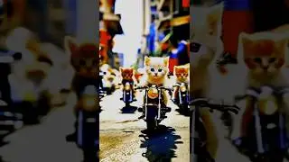 Dhoom machale # cat ##funny ##animtion ##viralvideo