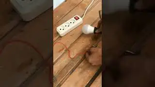 compressor rotary winding check and overload tripping ac service #haridwar
