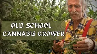 Old School Cannabis Grower Talks Greenhouse Growing @ W.O.W Industries | Episode 9