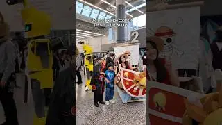 One Piece Thousand Sunny boat  #onepiece #onepiececosplay #anime #cosplay #luffy #thousandsunny #fyp