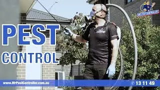 Mr PestController - Termites, Spiders, Cockroaches, and Rodents