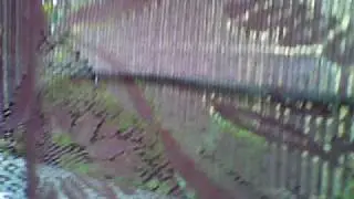 Open Window Maniac