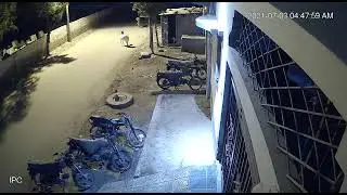CCTv caught  goats steals in malir Karachi