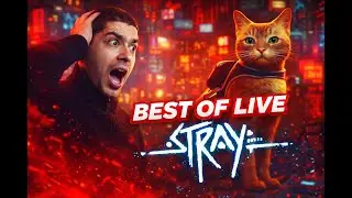 BEST OF TWITCH - LIVE sur STRAY (2e partie)