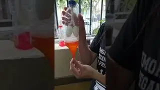 🍾PULM&Atilde;O FEITO DENTRO DA GARRAFA🫁