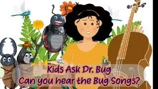 Kids Ask Dr. Bug: Can you hear the Bug Songs? Listen and learn the songs of the insect world.
