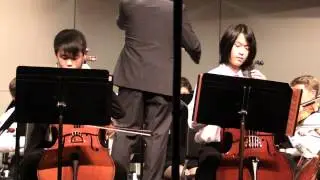 Vivaldi Concerto for two Celli