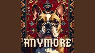 ANYMORE