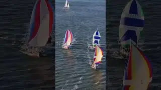 Sailing yachts - Davis Island Yacht Club. #aerialphotography #aerialvideo #drone #florida #saltlife