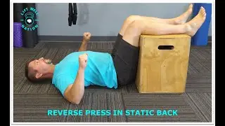 Reverse Press in Static Back