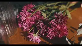 🌸 4K Delicate Blooms: Close-Up Video of Exquisite Flowers | Nature's Intricate Charm 🌺🍃