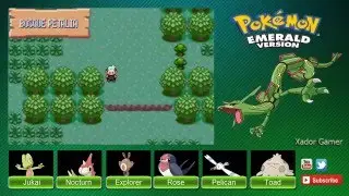 Pok&eacute;mon Emerald RNL - Parte 4 Pokenav/El Sr. Arenque