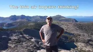 Идентификация деревьев Сьерра