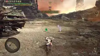 [ワイルズ]　参加型　色んなクエで遊びましょ　HR100～参加可能