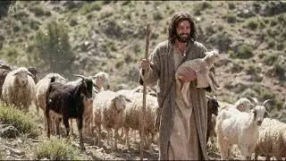When You Feel Alone: A Musical Journey Through Psalm 23