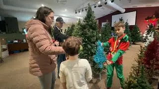 Artificial Christmas Tree Farm
