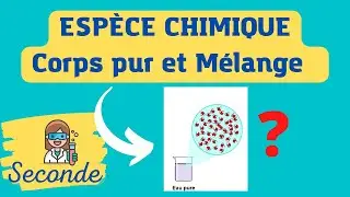 👩&zwj;🔬 Les esp&egrave;ces chimiques, c&rsquo;est quoi ? - CHIMIE - SECONDE