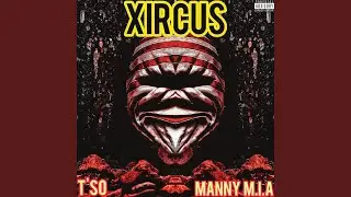 Xircus