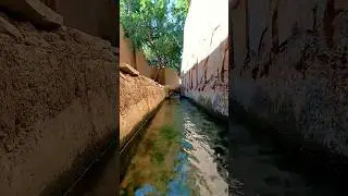 Alleys covered with trees and clay and running water    #Yazd #Yazdtour #Yazdcity #Taft #Yazdtourism