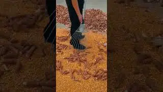 life hacks #viralvideo #youtubeshorts #funhacks #hack #lifehacks