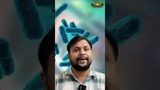 Monera Kingdom and examples | MAA Tutorial #biologyfornda #biologynotes #monera