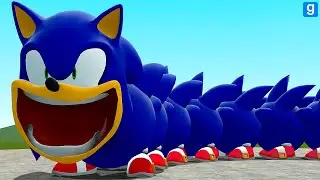 WHAT IF SONIC BECOMES A HUNGRY SONIC WORM FROM ROBLOX In Garry's Mod!